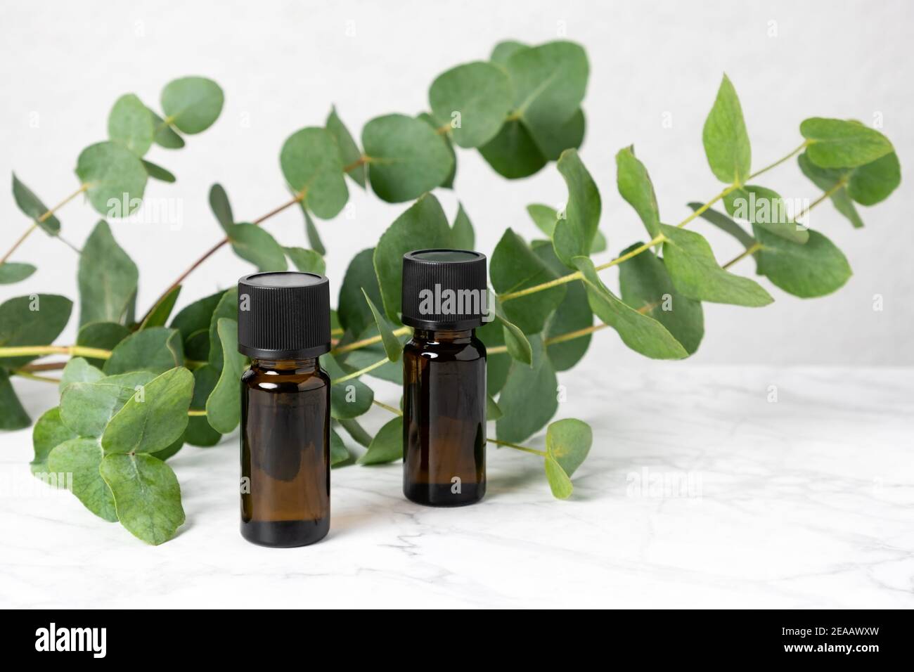 Zwei Bernsteinflaschen mit ätherischem Eukalyptus-Öl und frischen Eukalyptusblättern auf Marmortisch. Natürliche kosmetische Inhaltsstoffe für Hautpflegeprodukte. Kräuter Stockfoto