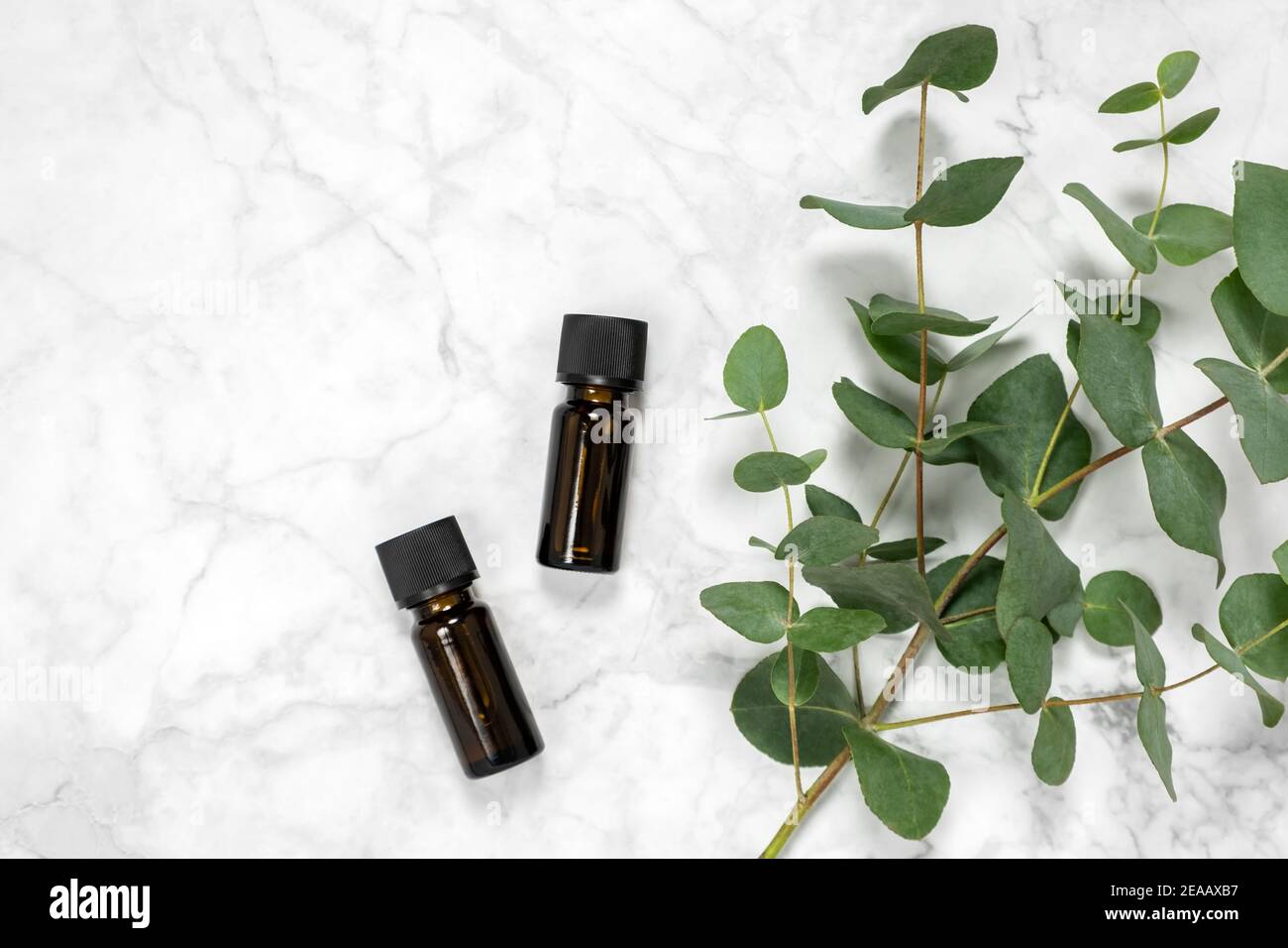 Zwei Bernsteinflaschen mit ätherischem Eukalyptus-Öl und frischem Eukalyptus-Zweig auf Marmorboden. Natürliche kosmetische Inhaltsstoffe für Hautpflegeprodukte. S Stockfoto
