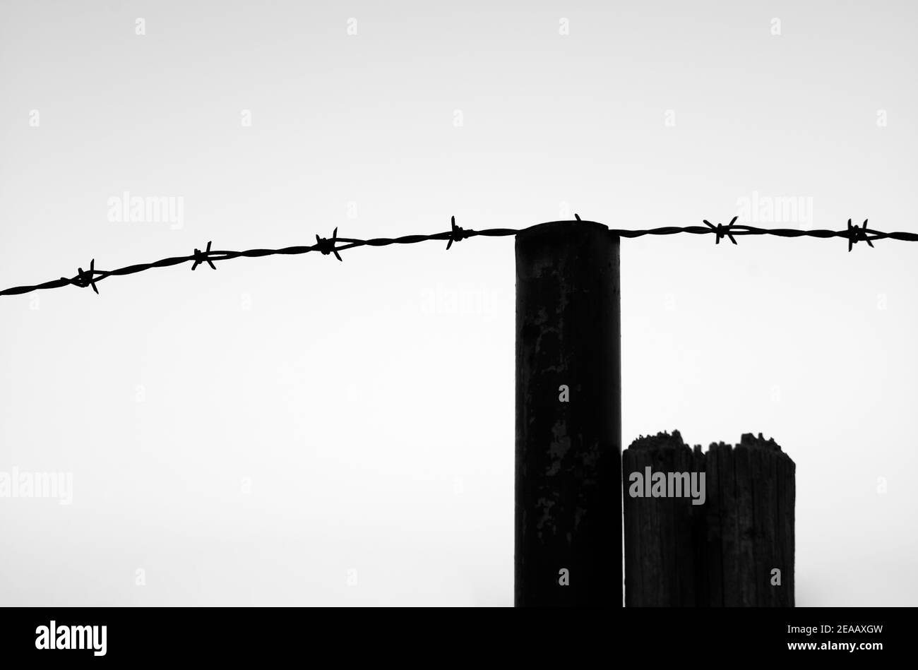 Stacheldrahtzaun vor dem Himmel, symbolisches Bild der Gefangenschaft, Stuttgart, Baden-Württemberg, Deutschland Stockfoto