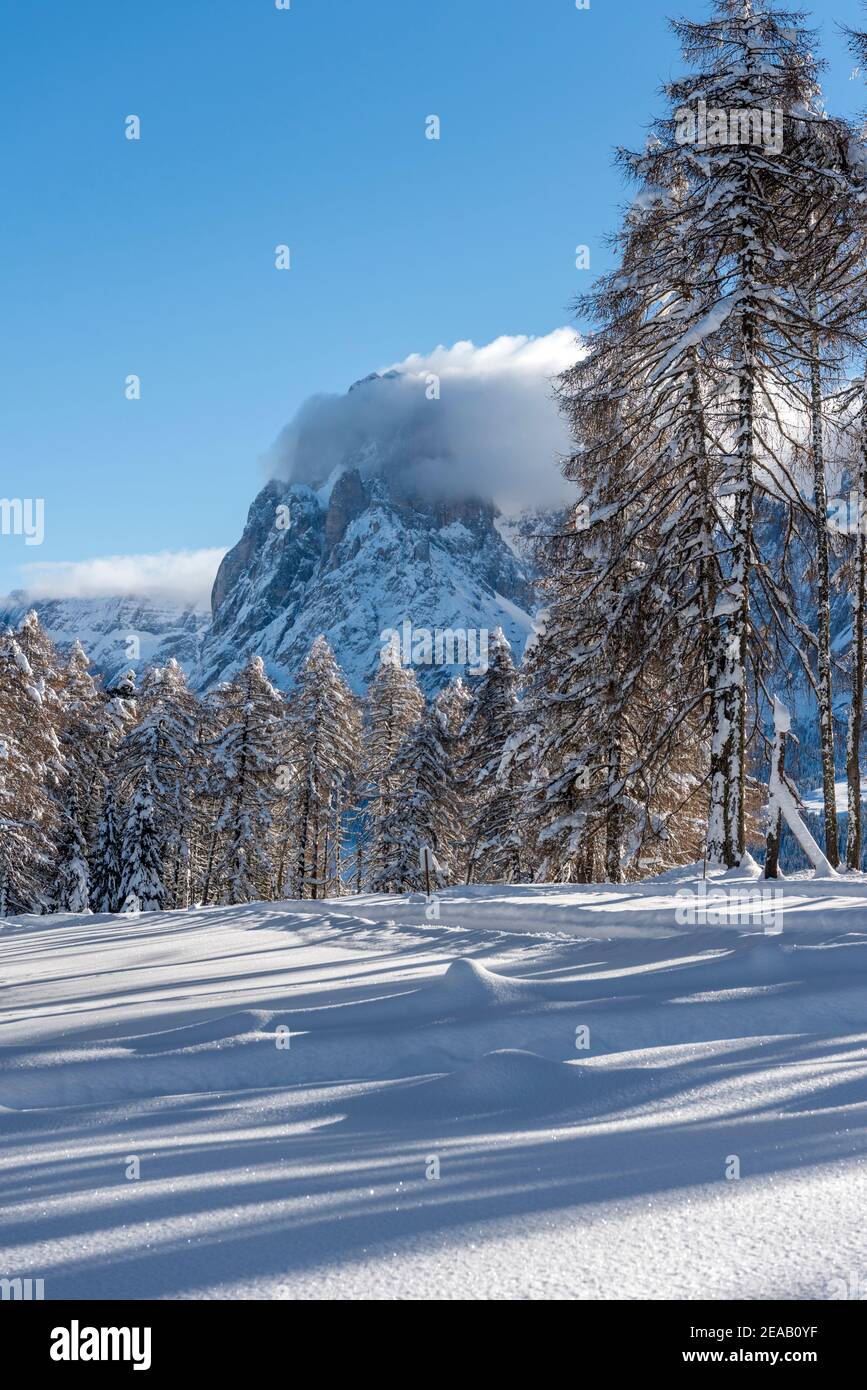 Kastelruth, Provinz Bozen, Dolomiten, Südtirol, Italien. Winter auf der Seiser Alm mit Blick auf den Langkofel Stockfoto