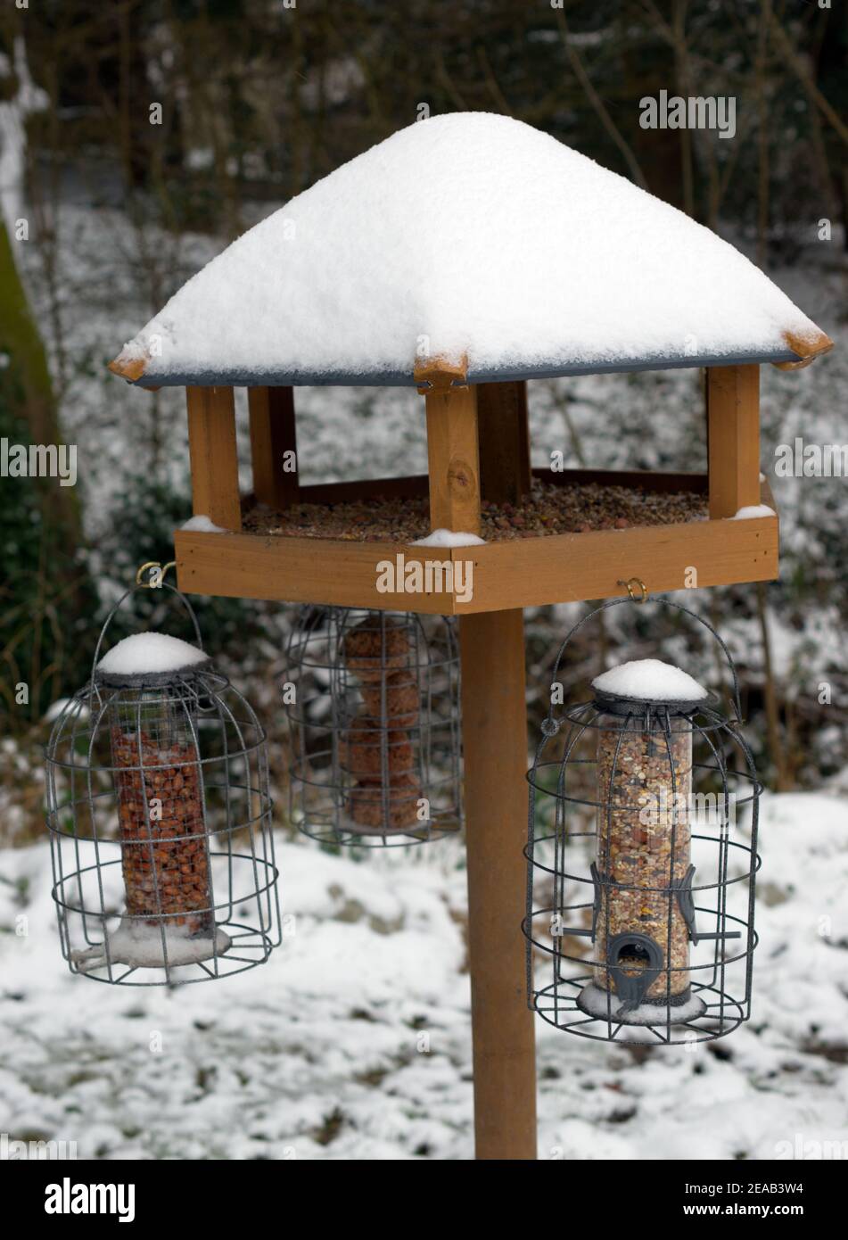 Eine Vogelfütterungsstation mit Vogelfutterhäuschen für im Winter schneebedeckte Wildgartenvögel. Stockfoto
