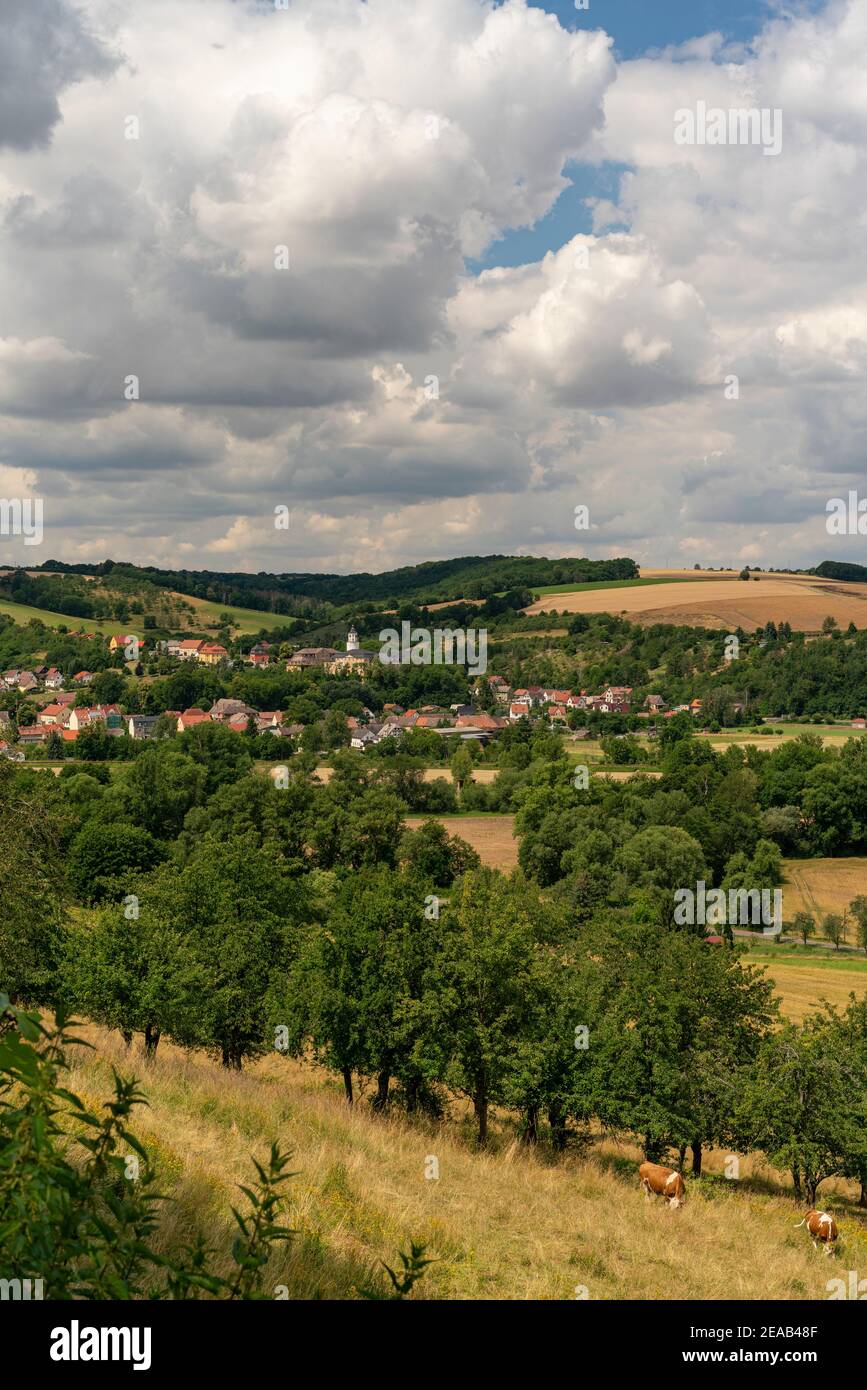 Ansicht von Crossen an der Elster, Saale-Holzland-Kreis, Thüringen, Deutschland Stockfoto