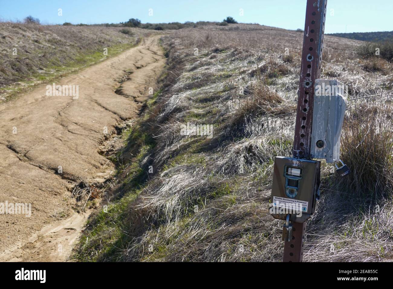 Wildlife Trail Kamera auf dem Bommer Canyon Trail Orange County, Kalifornien, USA Stockfoto