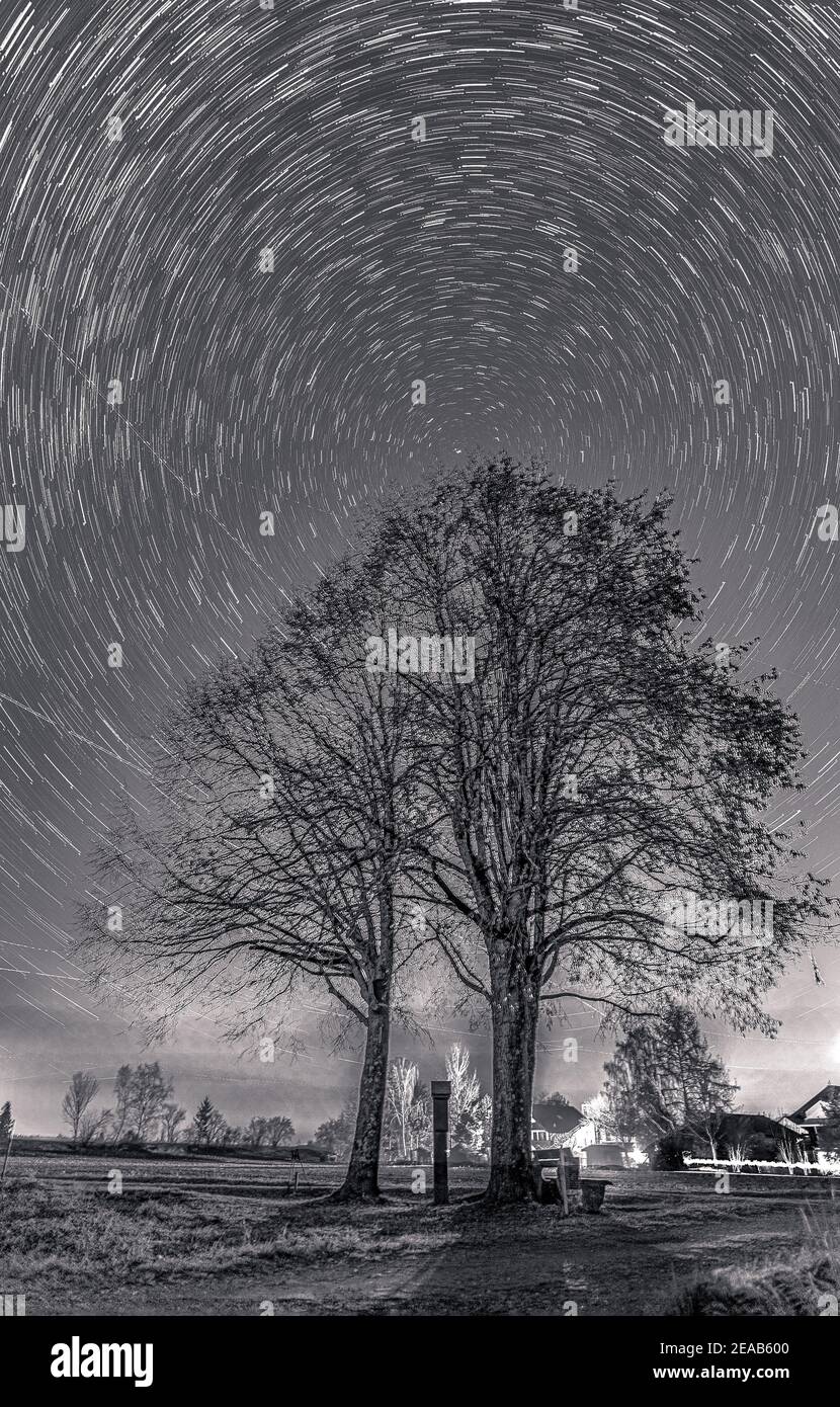 Sterne Trails in einem Winterhimmel und Kreise über einem einsamen Baum in einer sternenklaren Nacht, monochromes Astro-Foto. Stockfoto