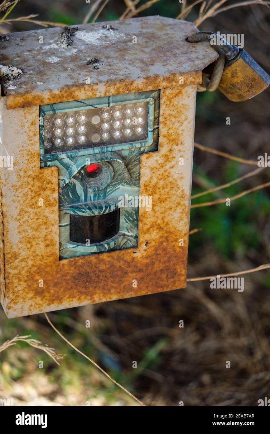 Wildlife Trail Kamera auf dem Bommer Canyon Trail Orange County, Kalifornien, USA Stockfoto