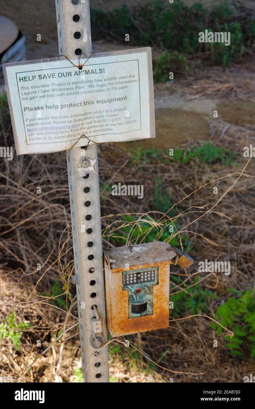 Wildlife Trail Kamera auf dem Bommer Canyon Trail Orange County, Kalifornien, USA Stockfoto