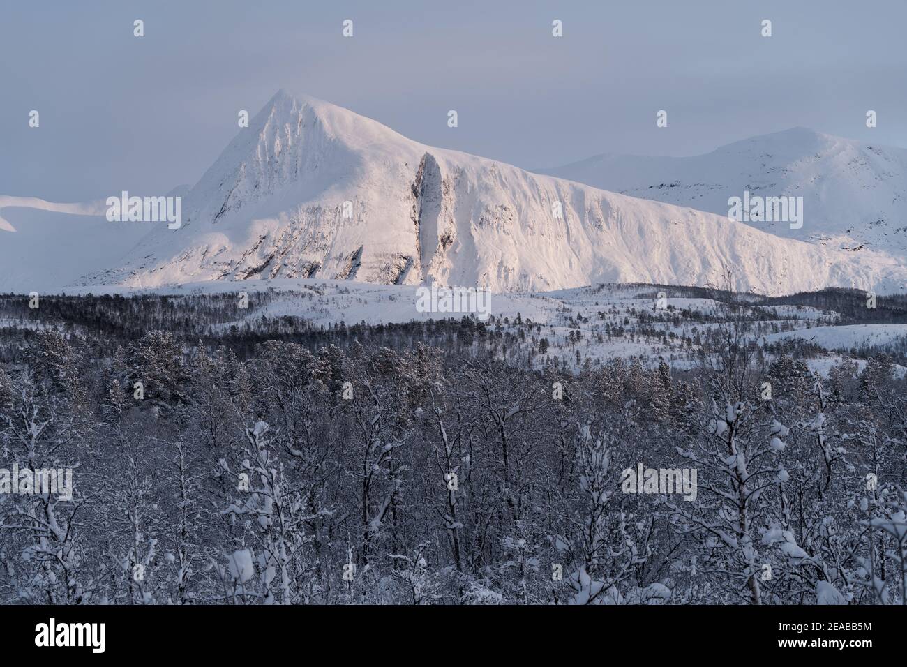 Norwegen, Nord-Norge, Winter, Berg, Lagen, Holz, Schnee Stockfoto