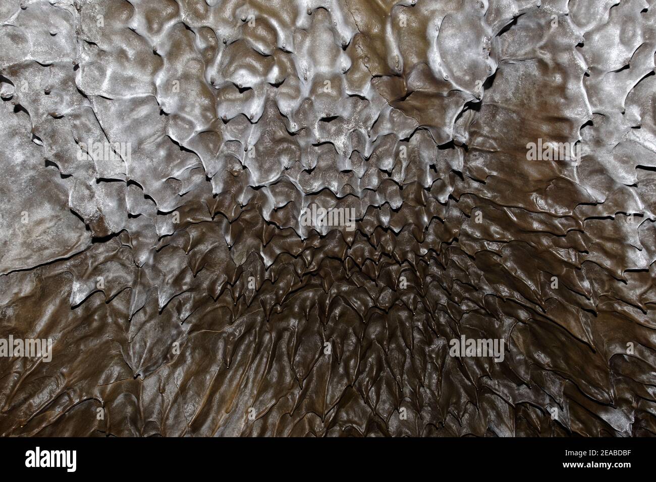 Lavatunnel, Lavahöhle, Gjabakkahellir Tunnelhöhle, Gjabakkahellir, Thingvellir Nationalpark, Island Stockfoto