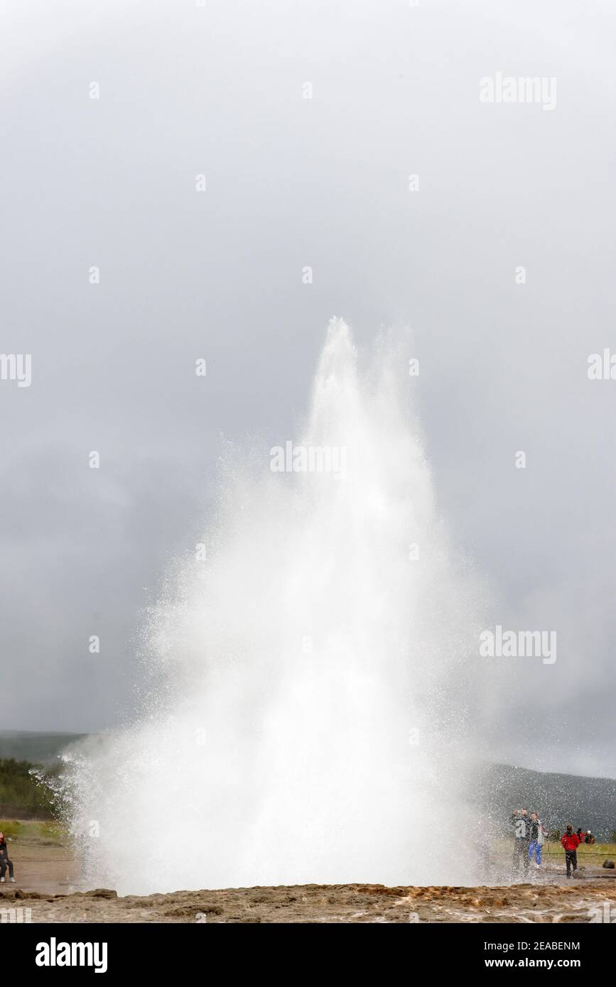 Strokkur, Strokkur Geysir, Teil des Goldenen Rings im Heißwassertal Haukadalur, Geyser Strokkur, Südisland Stockfoto