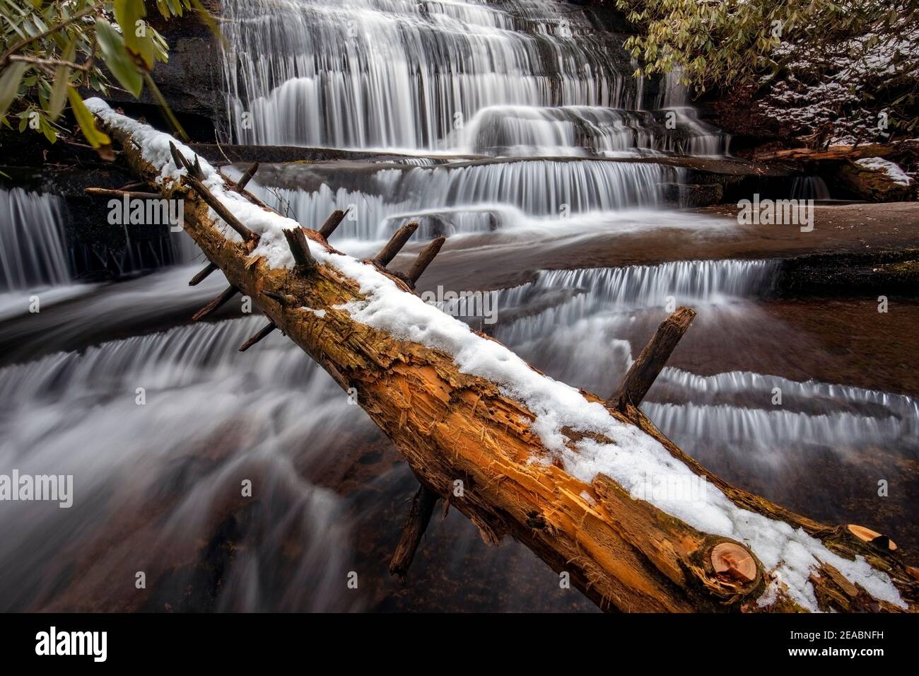 Schneebedeckter Baumstamm bei Grogan Creek Falls (oder Falls auf Grogan Creek) - Butter Gap Trail, Pisgah National Forest, in der Nähe von Brevard, North Carolina, USA Stockfoto