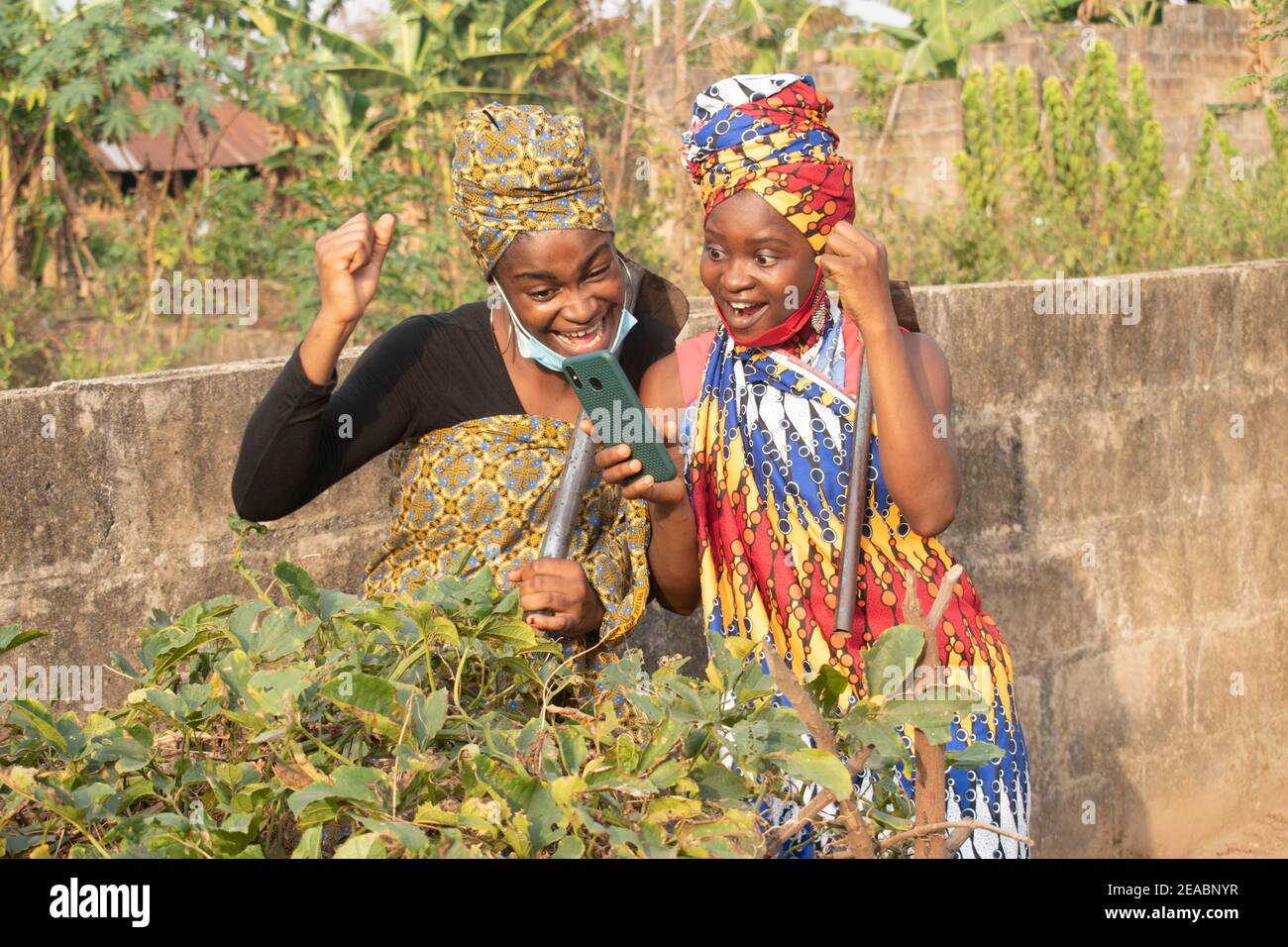 Zwei afrikanische Frauen, die auf der Farm in ihr Telefon schauen Stockfoto