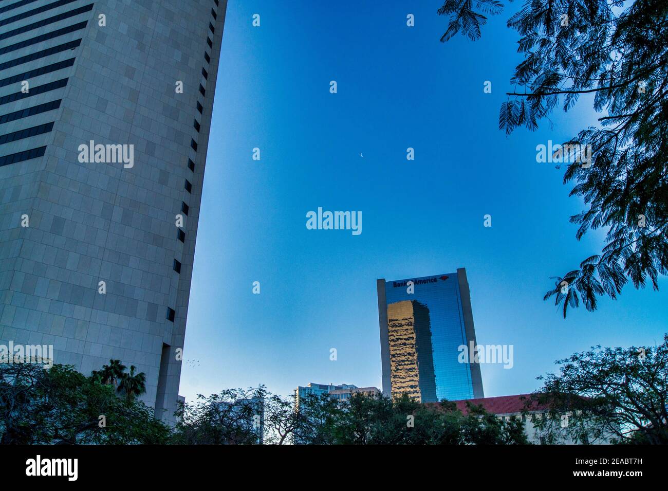 Am frühen Abend im Stephen P. Clark Government Center in der Innenstadt von Miami, Florida. Stockfoto