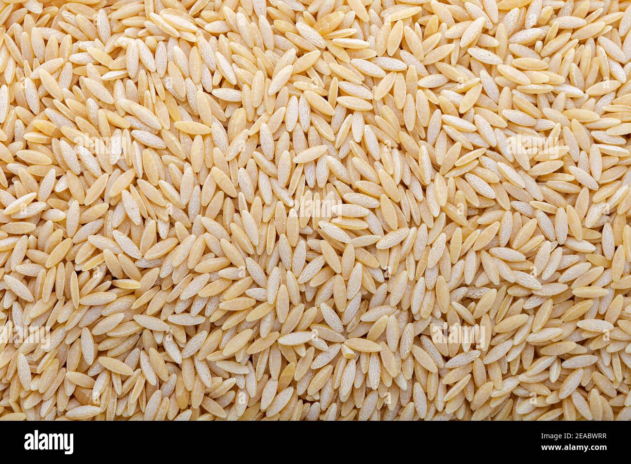 Gerste Nudelkörner. Hintergrund und Textur. Stockfoto