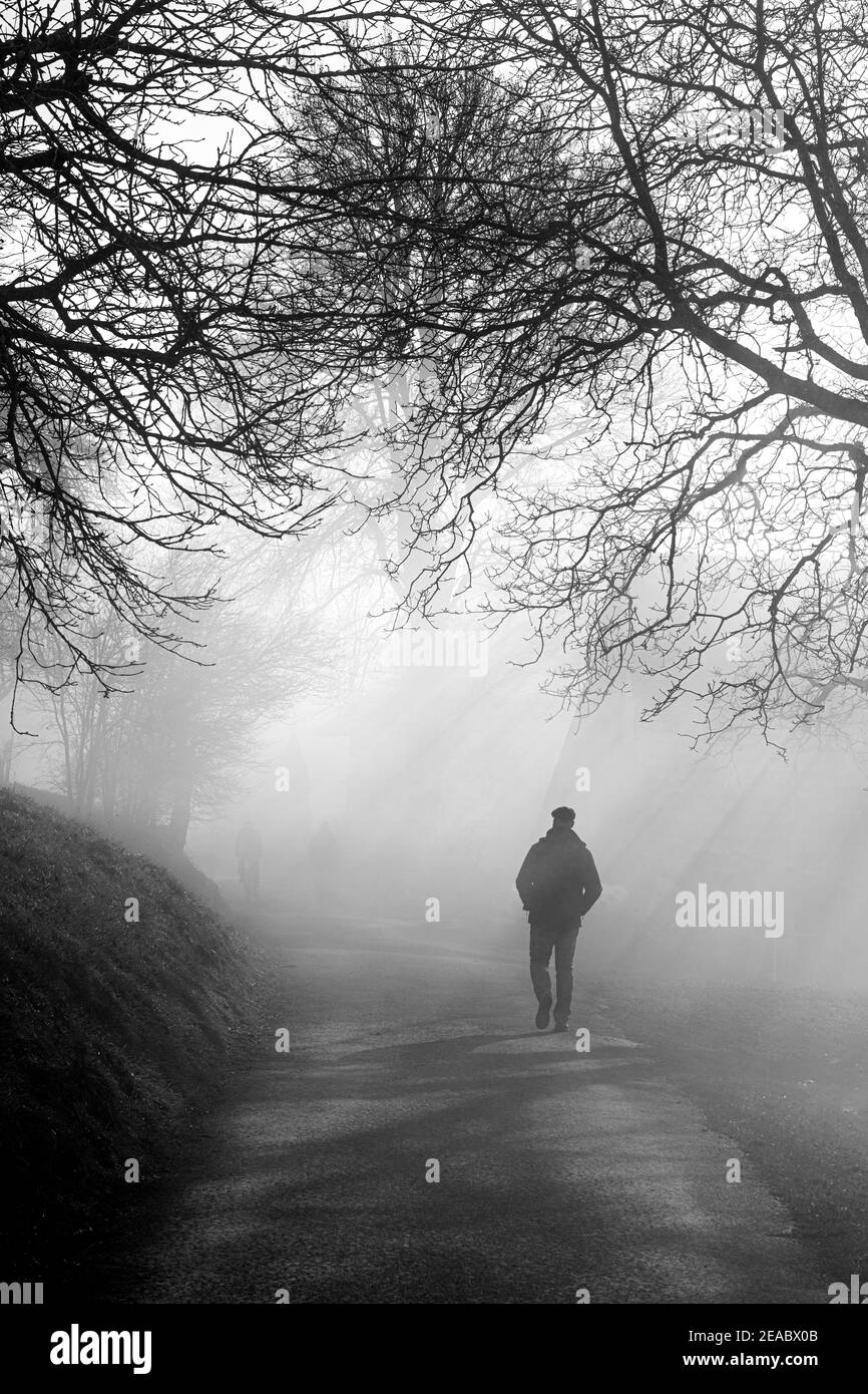 Europa, Schweiz, Zentralschweiz, Kanton Zug, neblige Landschaft, Wanderer Stockfoto