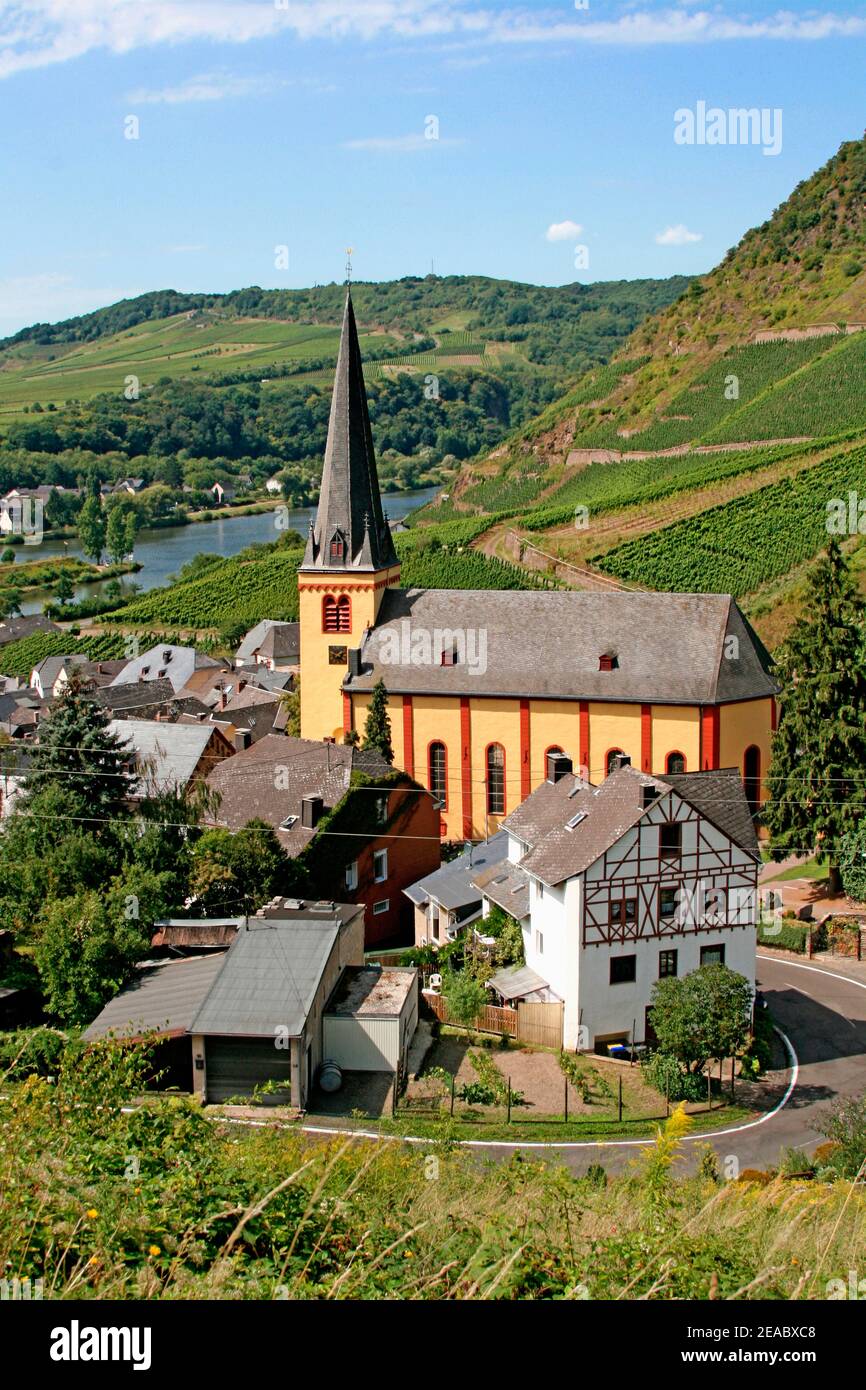 Senheim Kirche St. Katharina, Senheim bei Cochem, Mosel, Weinbau, Hunsrück ...