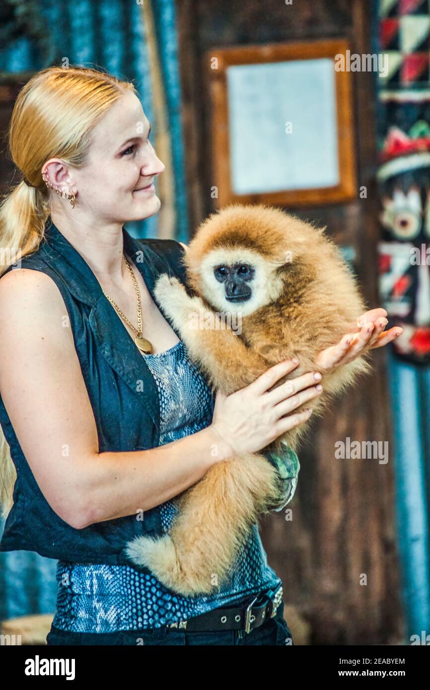 Eine weibliche Tiertrainerin präsentiert dem Publikum einen Gibbon im Parrot Theater auf Jungle Island in Miami, Florida. Stockfoto