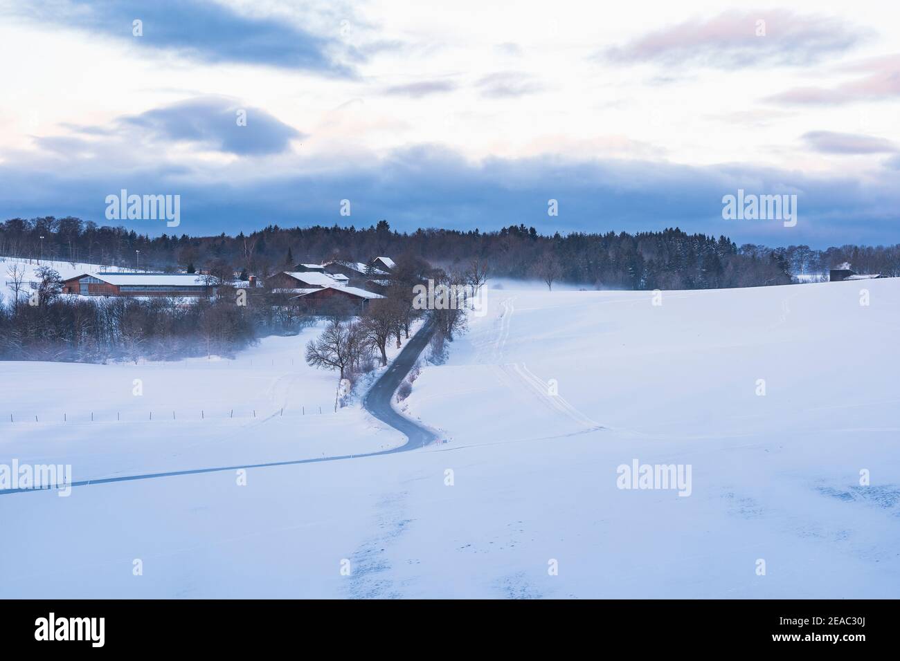Straße im Schnee, Raichberg, Nebel, Albstadt, Onstmettingen, Winter, Winterwelt, Schnee, frostiger Morgen, Schwäbische Alb, Baden-Württemberg, Deutschland, Europa Stockfoto