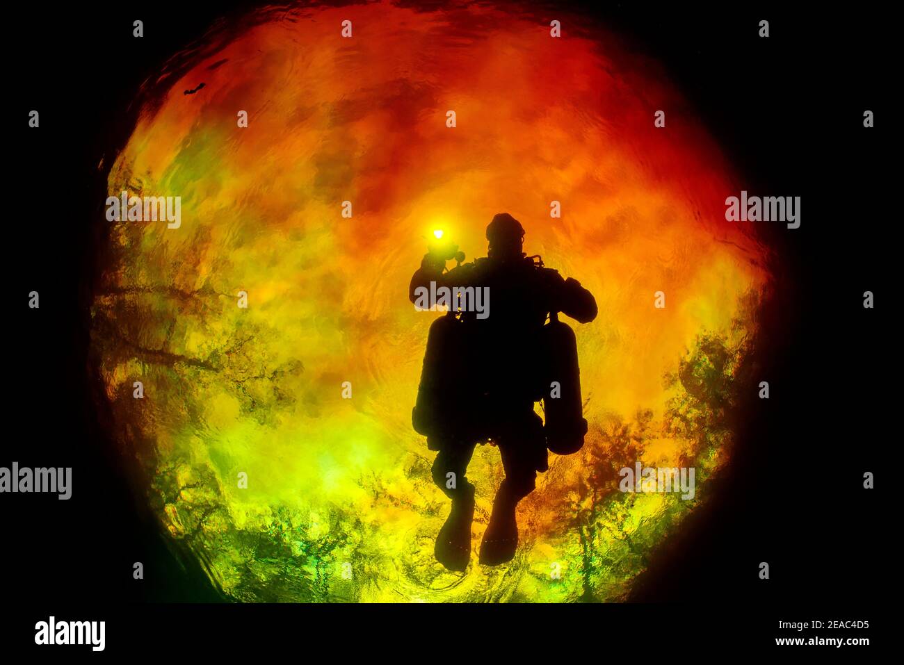 Höhlentaucher, Taucher in Devils Eye mit rotem Wasser vom Santa Fe River, Quelltopf in Ginnie Spring, High Springs, Gilchrist County, Florida, USA Stockfoto