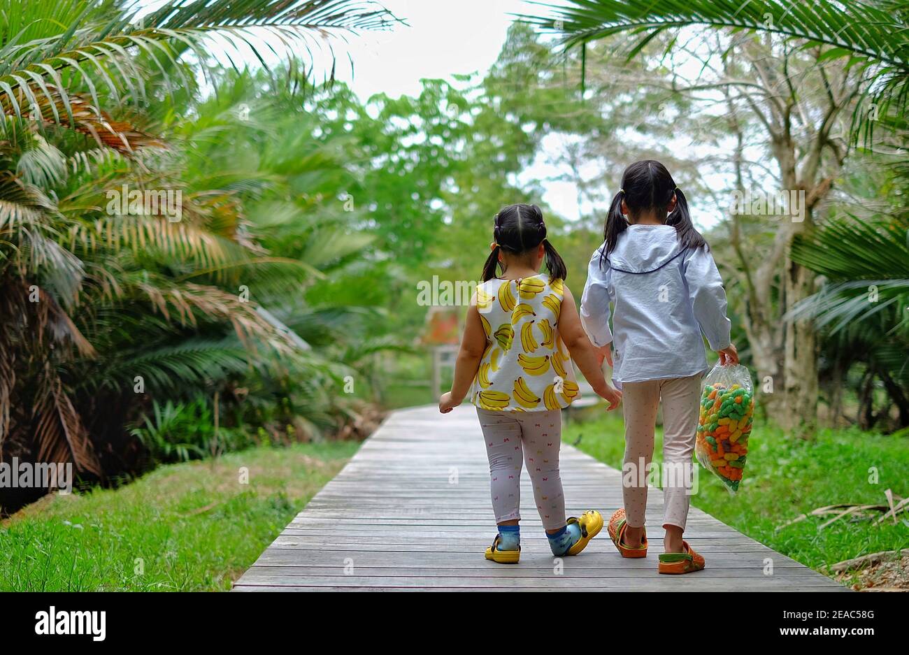 Rückansicht von zwei niedlichen jungen asiatischen Schwestern, die zusammen auf einem Pfad in einem Garten gehen und die Hände halten. Stockfoto