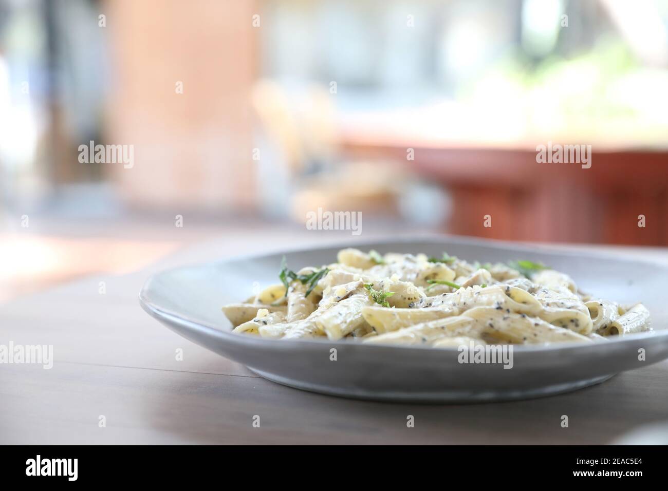 Penne Pasta mit weißer Sauce und Trüffel, italienische Küche Stockfoto