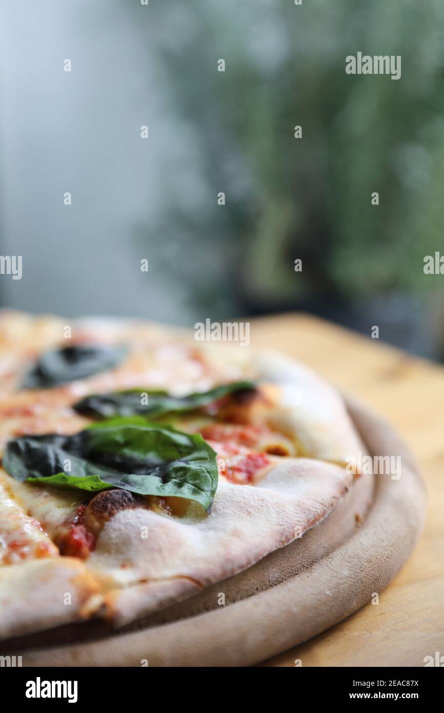 Pizza margherita , italienische Pizza mit Tomaten , Basilikum und Mozzarella Käse auf Holz Hintergrund Stockfoto