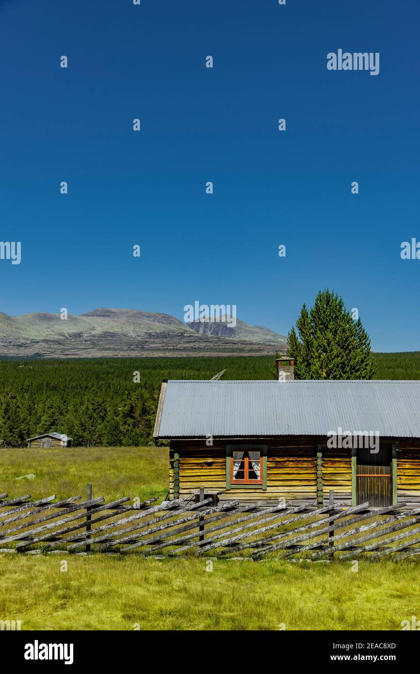 Einsame Blockhütte in Norwegen Stockfoto