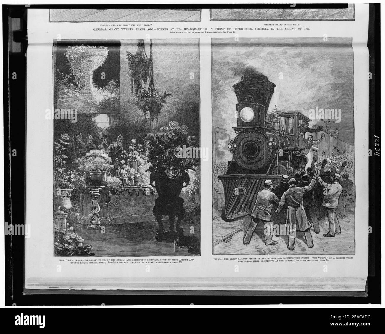 New York City-Flower-Show, zu Hilfe der deutschen und orthopädischen Krankenhäuser, gegeben an der Fifth Avenue und Twenty-Eight Street, März 9th-14th - Mazzanovich. Texas-der große Eisenbahnstreik auf der Stockfoto