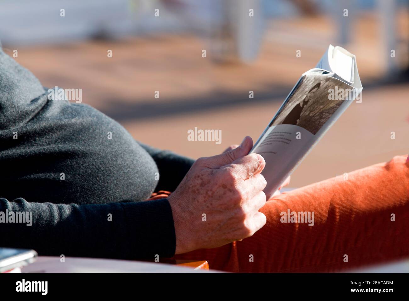 Älterer Mann liest ein Buch Stockfoto