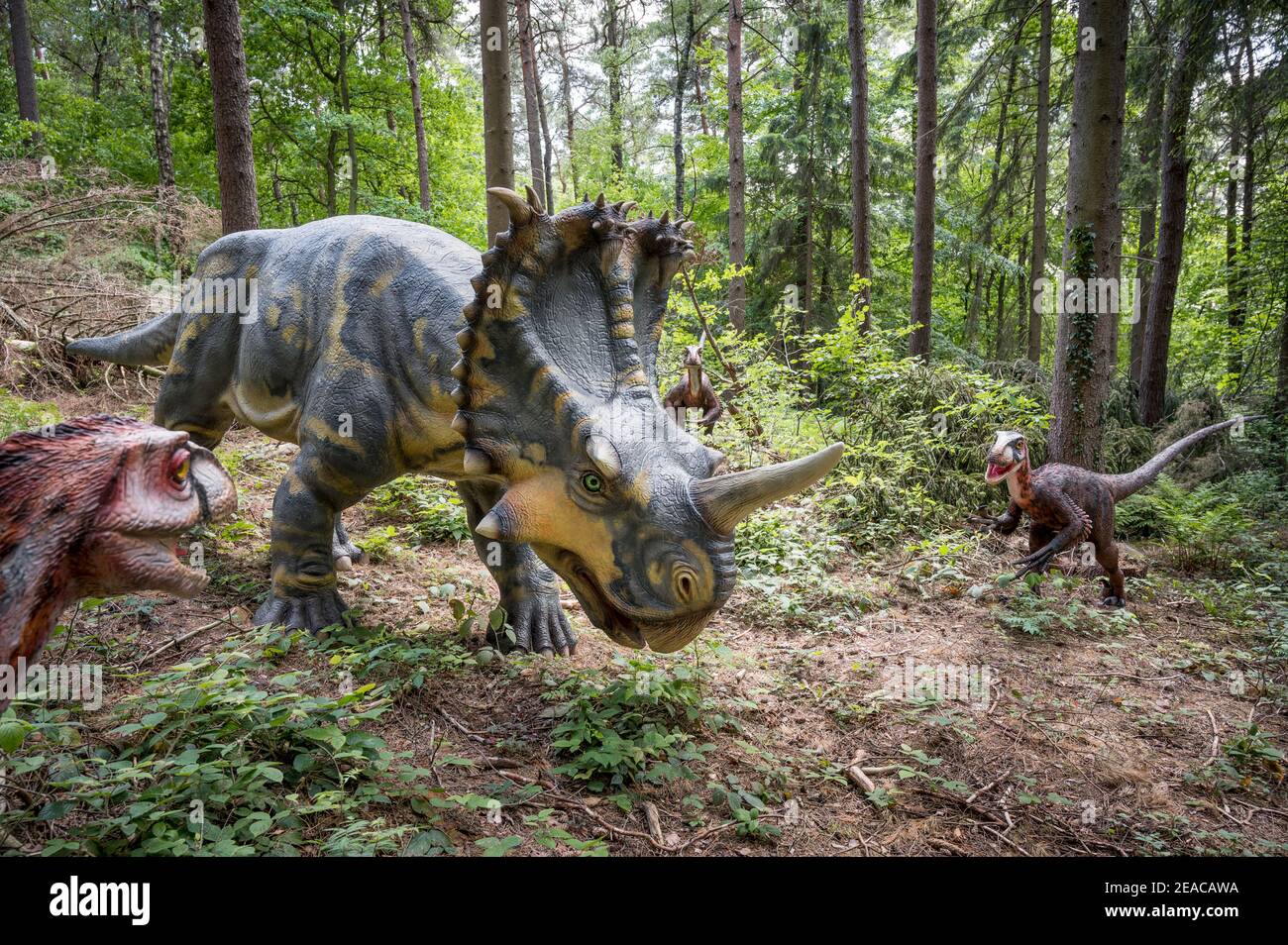 Dinosauriermodelle im Dinopark Münchehagen bei Hannover, Deinonychus jagen Centrosaurus, Kreidezeit Stockfoto
