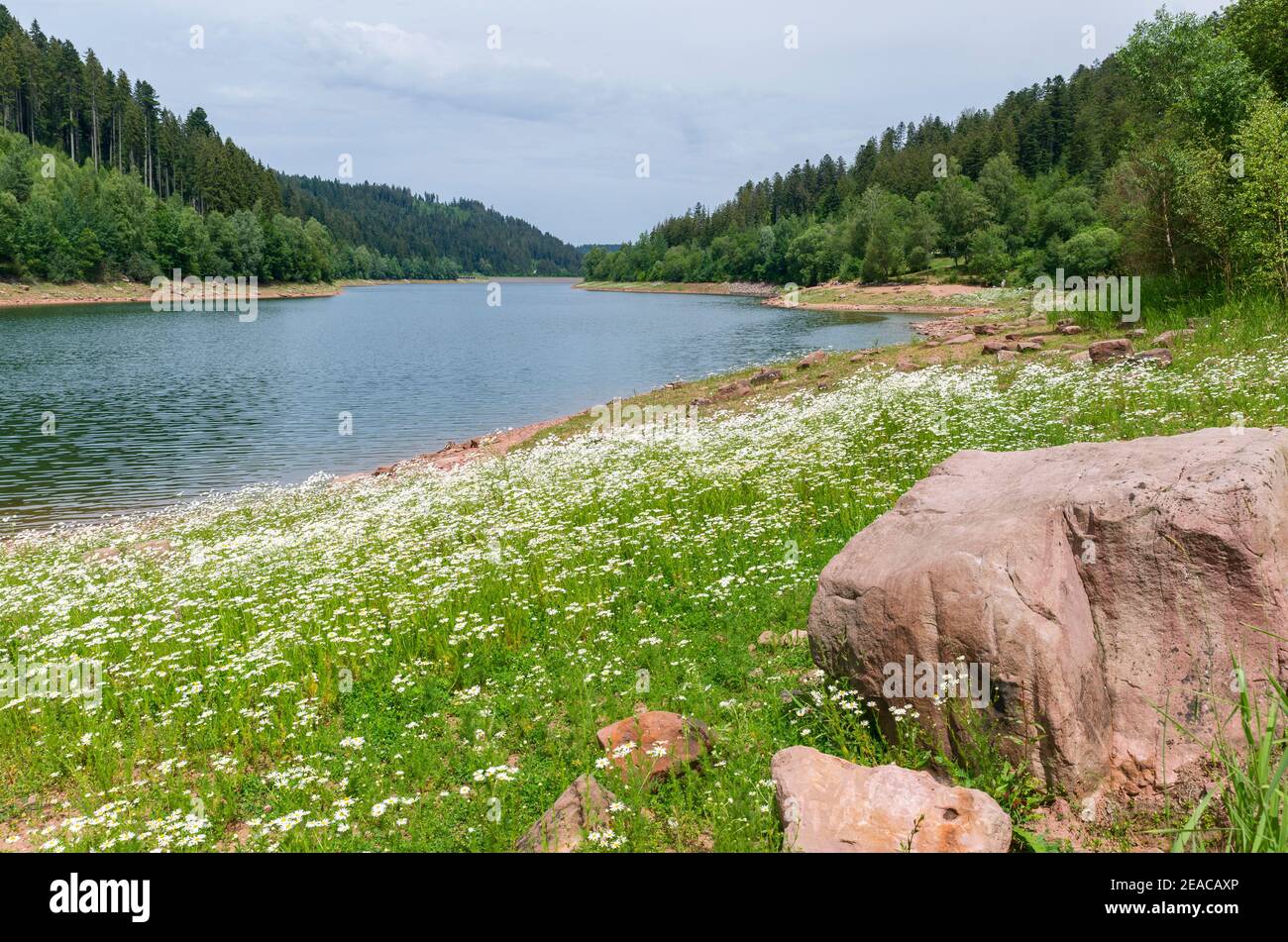 Deutschland, Baden-Württemberg, Seewald, Nagoldtalsperre in der Nähe der Erzgrube wurde der Damm zwischen 1965 und 1970 gebaut und 1971 in Betrieb genommen. Stockfoto