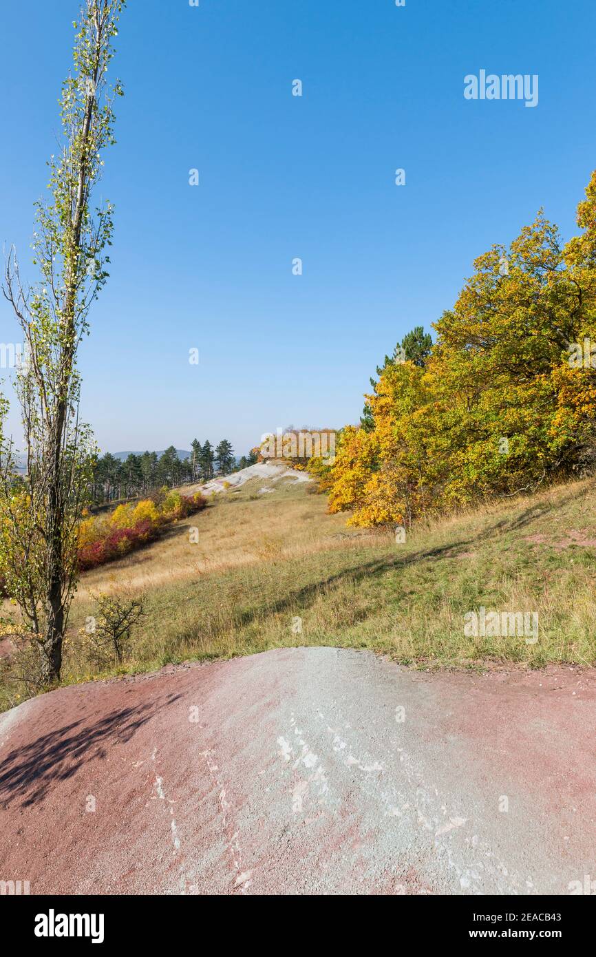 Deutschland, Thüringen, Amt Wachsenburg - Holzhausen, Herbst im Schlargebiet unterhalb der Veste Wachsenburg. Stockfoto