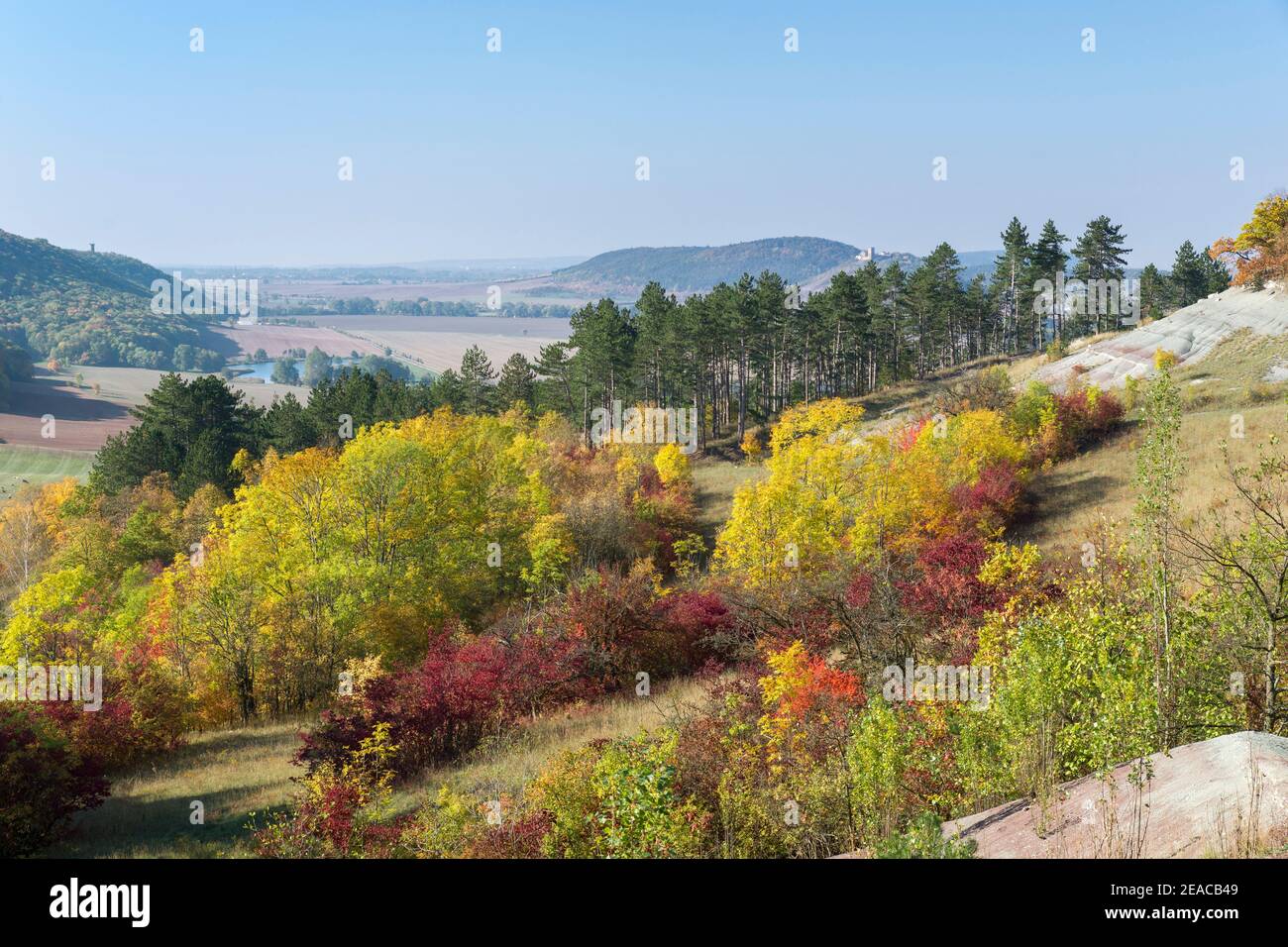 Deutschland, Thüringen, Amt Wachsenburg - Holzhausen, Herbst im Schlargebiet unterhalb der Veste Wachsenburg. Stockfoto