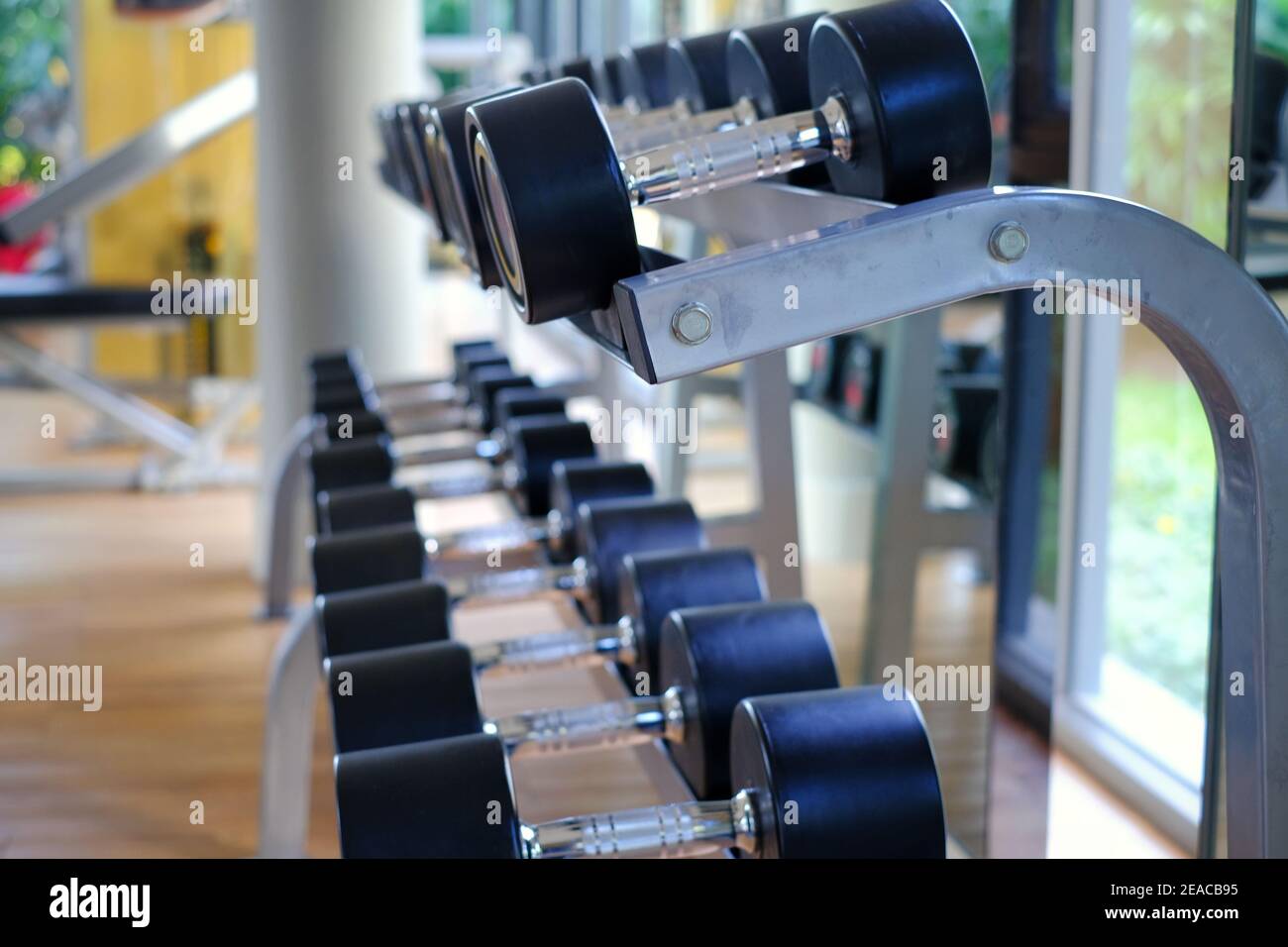 Ein Nahaufnahme-Bild von Stahlhanteln mit schwarzem Gummischutz, die in Reihen auf einem Metallgestell in einer Turnhalle an einem Glasfenster aufgereiht sind. Stockfoto