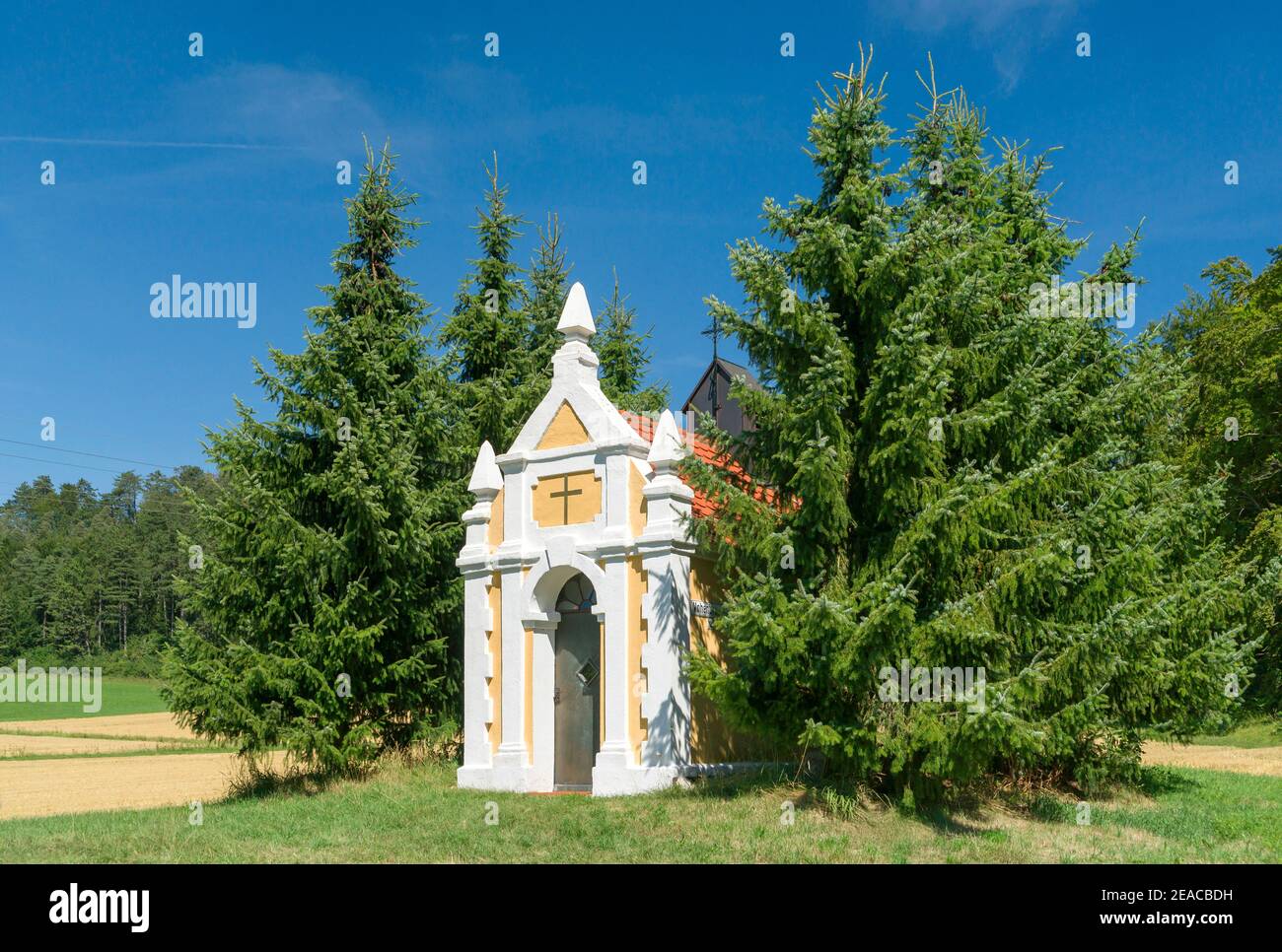 Deutschland, Baden-Württemberg, Schelklingen, Vohenbronnen-Kapelle im Ringinger Tal bei Schelklingen, auf der Tafel der Kapelle steht: "Gespendet in Erinnerung an unsere Söhne Xaver und Johannes, die im Militär von ihren Eltern Johannes Bumiller + Creszentia geb.Scheitenberger, 1881" Stockfoto