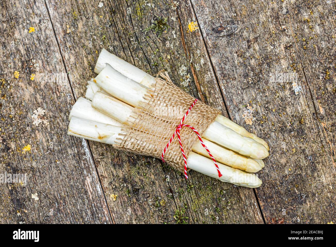 Mehrere Spargelstiele, die mit einer roten Schnur zusammengebunden sind Auf einer verwitterten Holzoberfläche Stockfoto