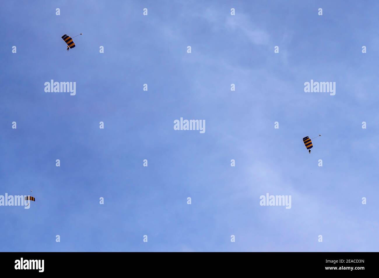 Tandem-Fallschirmspringer gegen einen klaren blauen Himmel mit offenem Fallschirm Bereit zu landen Stockfoto