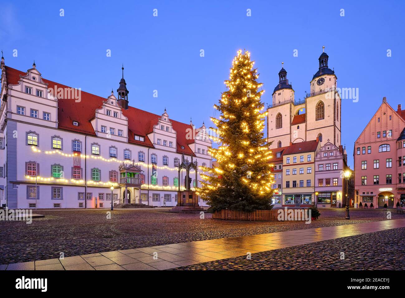 Marktplatz mit Weihnachtsbaum, Rathaus und St. Marien Stadtkirche in Luherstadt Wittenberg, Sachsen-Anhalt, Deutschland Stockfoto