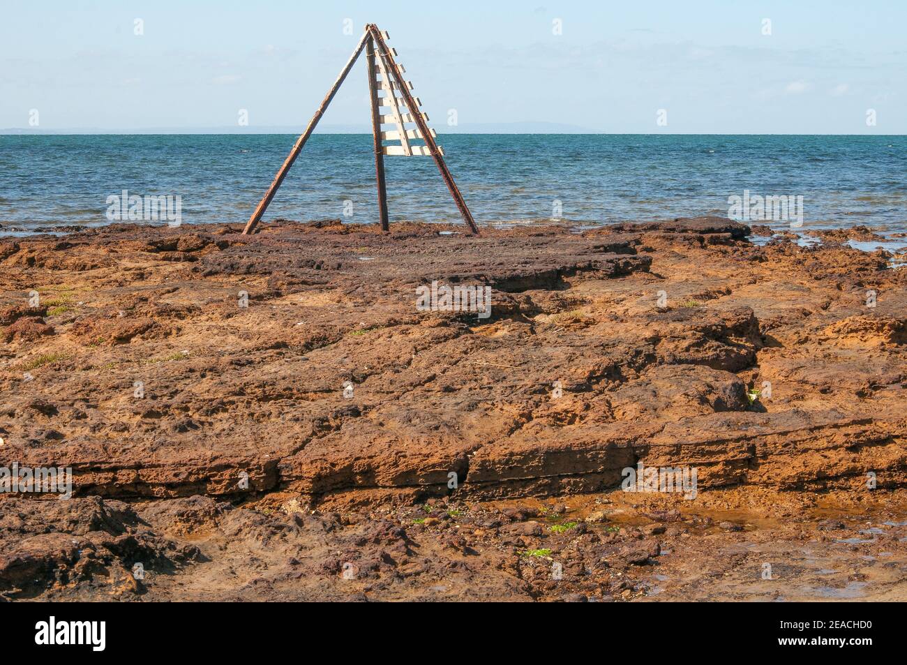 Erodierte Gesteinsplattform in Ricketts Point, Port Phillip Bay, Melbourne, Australien Stockfoto