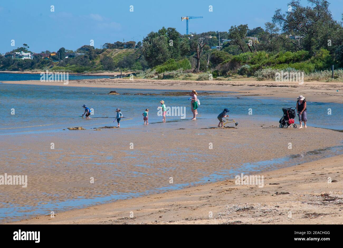Familien, die in den Untiefen bei Ricketts Point, Port Phillip Bay, Melbourne, Australien, im Sommer 2021 waten Stockfoto