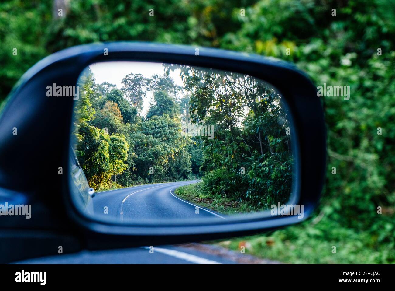 Seitenansicht Spiegelung der Kurve Straße im Wald. Stockfoto