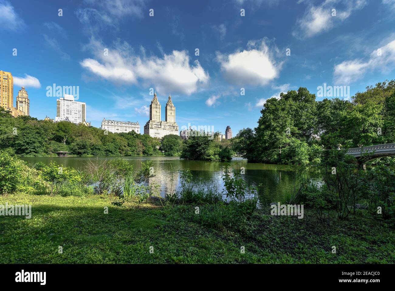 Im Sommer im Central Park in New York mit Bow Brücke über den Central Parl See Stockfoto