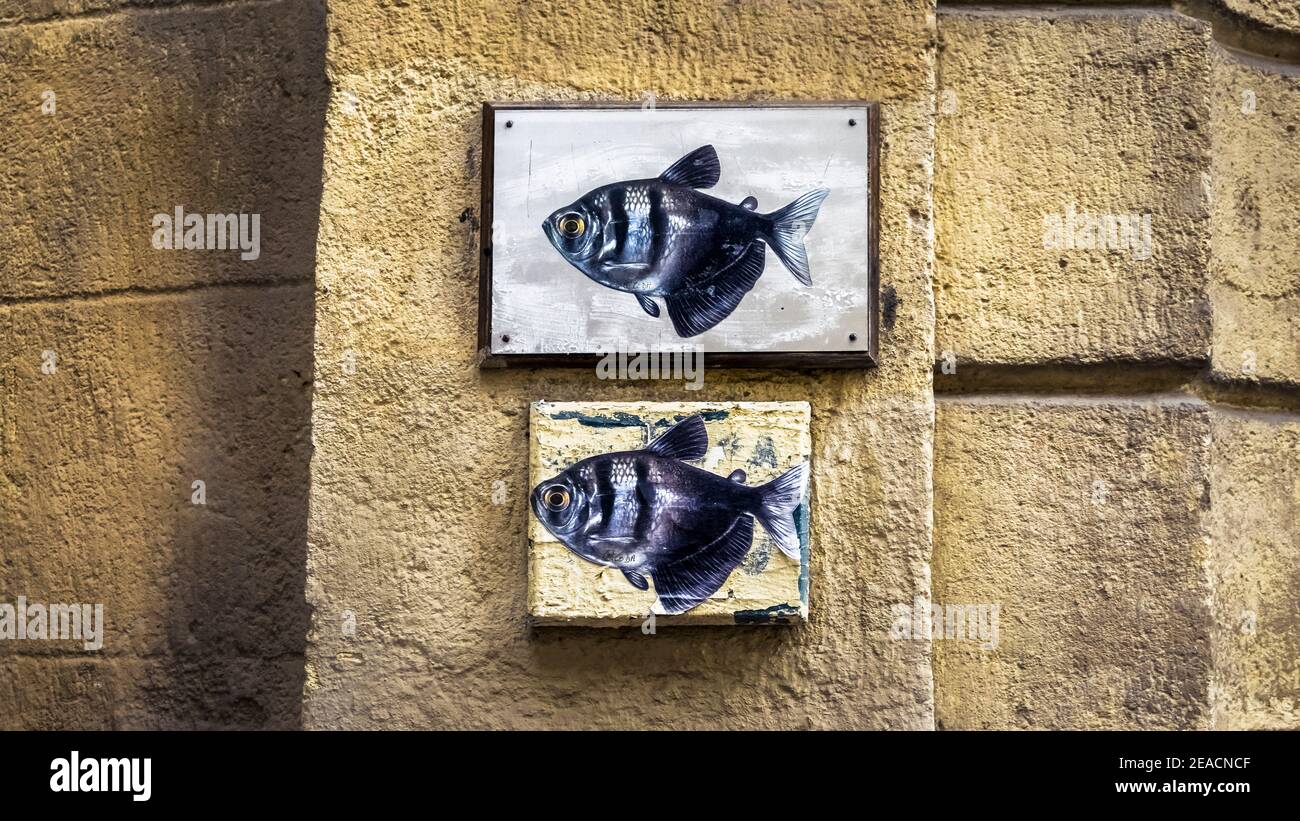 Graffiti von zwei Fischen in der Altstadt von Montpellier Stockfoto