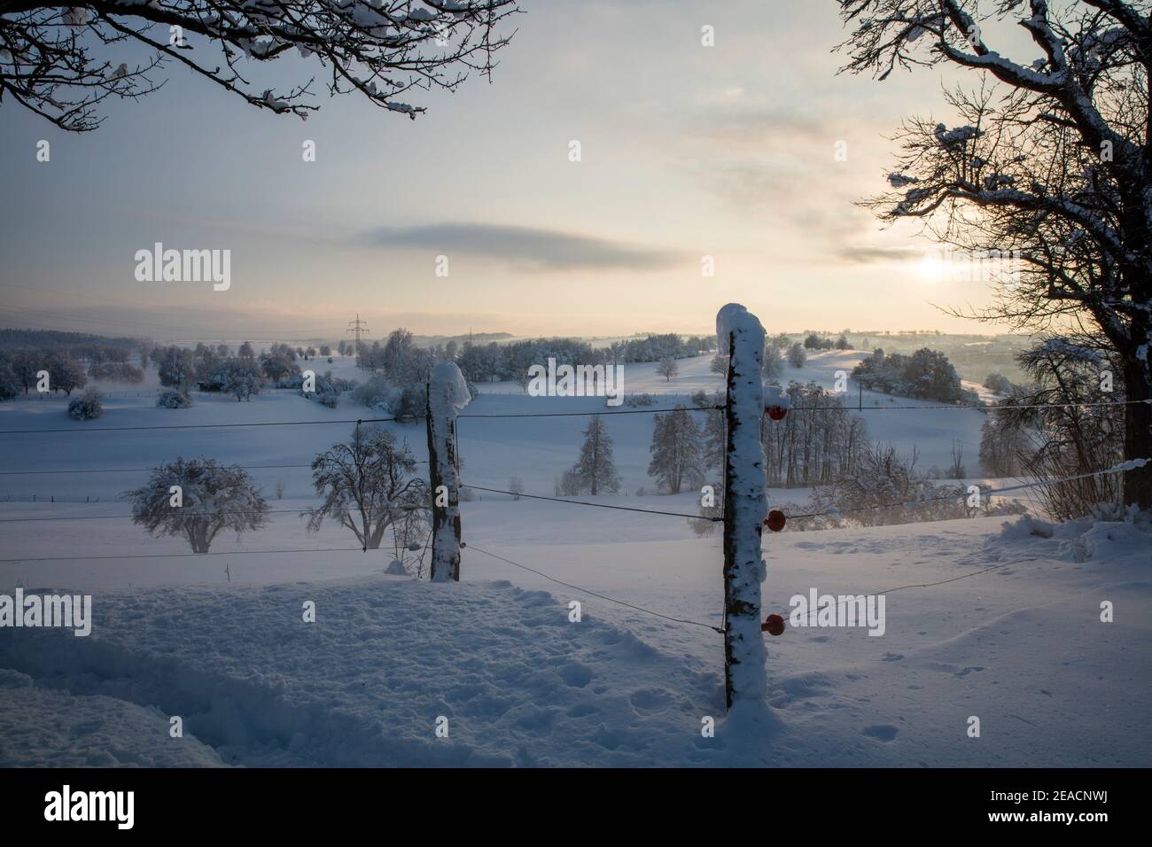 Winterlandschaft, Schnee, Bäume, Sonnenuntergang Stockfoto