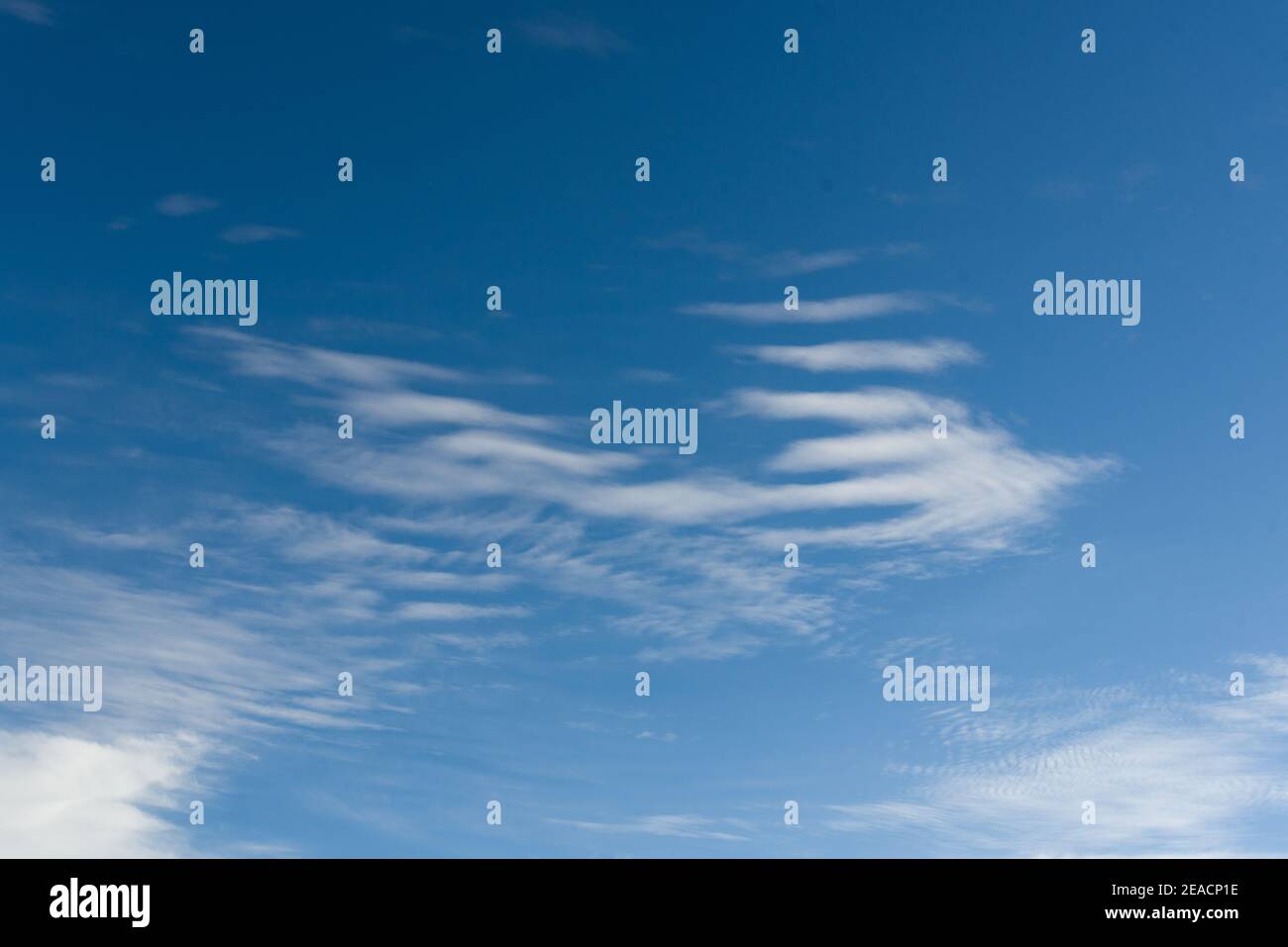 Flauschige weiße Wolken im Sommerhimmel Neuseeland Stockfoto
