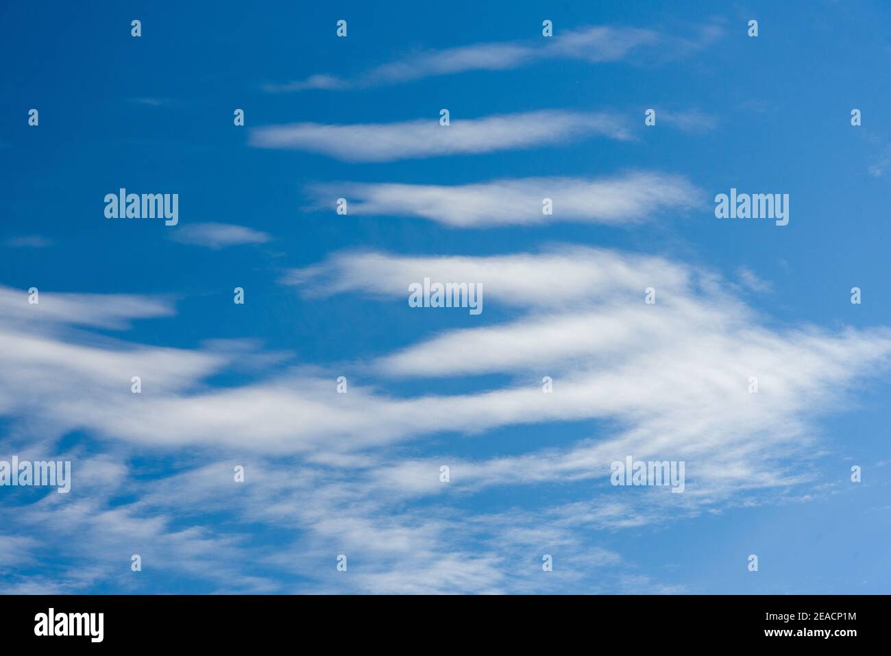 Flauschige weiße Wolken im Sommerhimmel Neuseeland Stockfoto