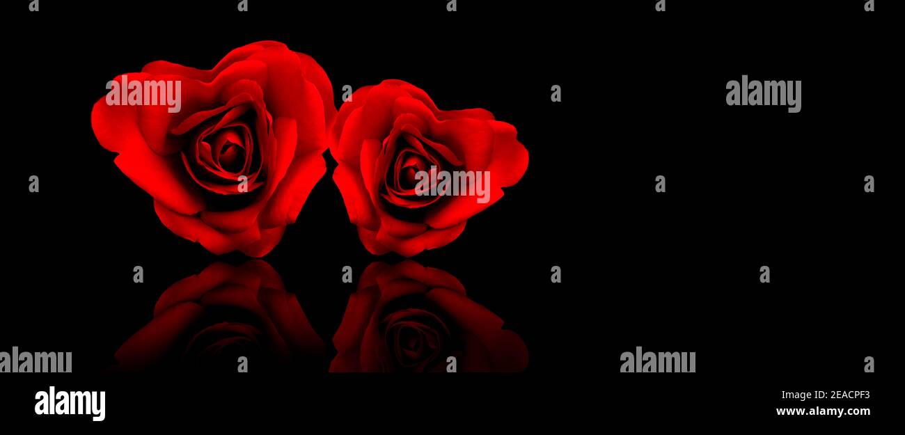 Zwei Herzen aus Rosenblättern Stockfoto