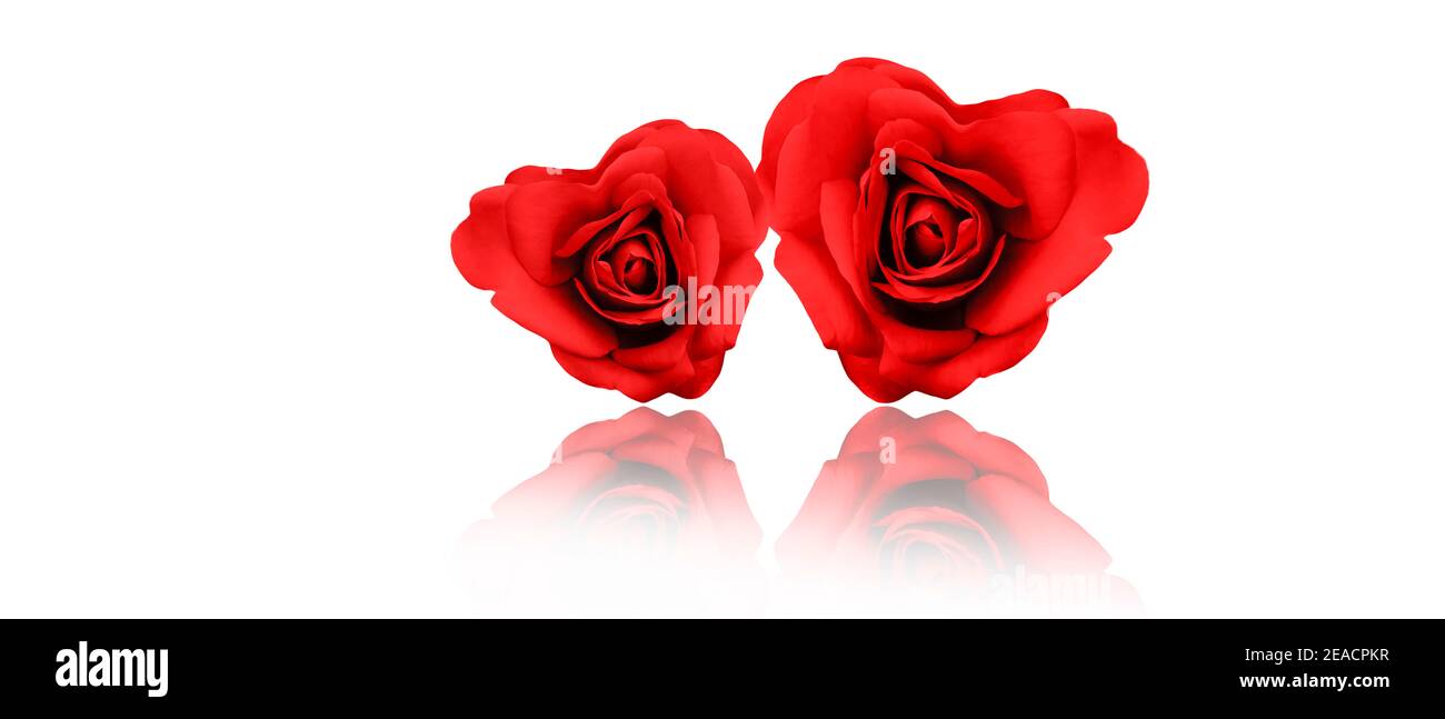Zwei Herzen aus Rosenblättern Stockfoto