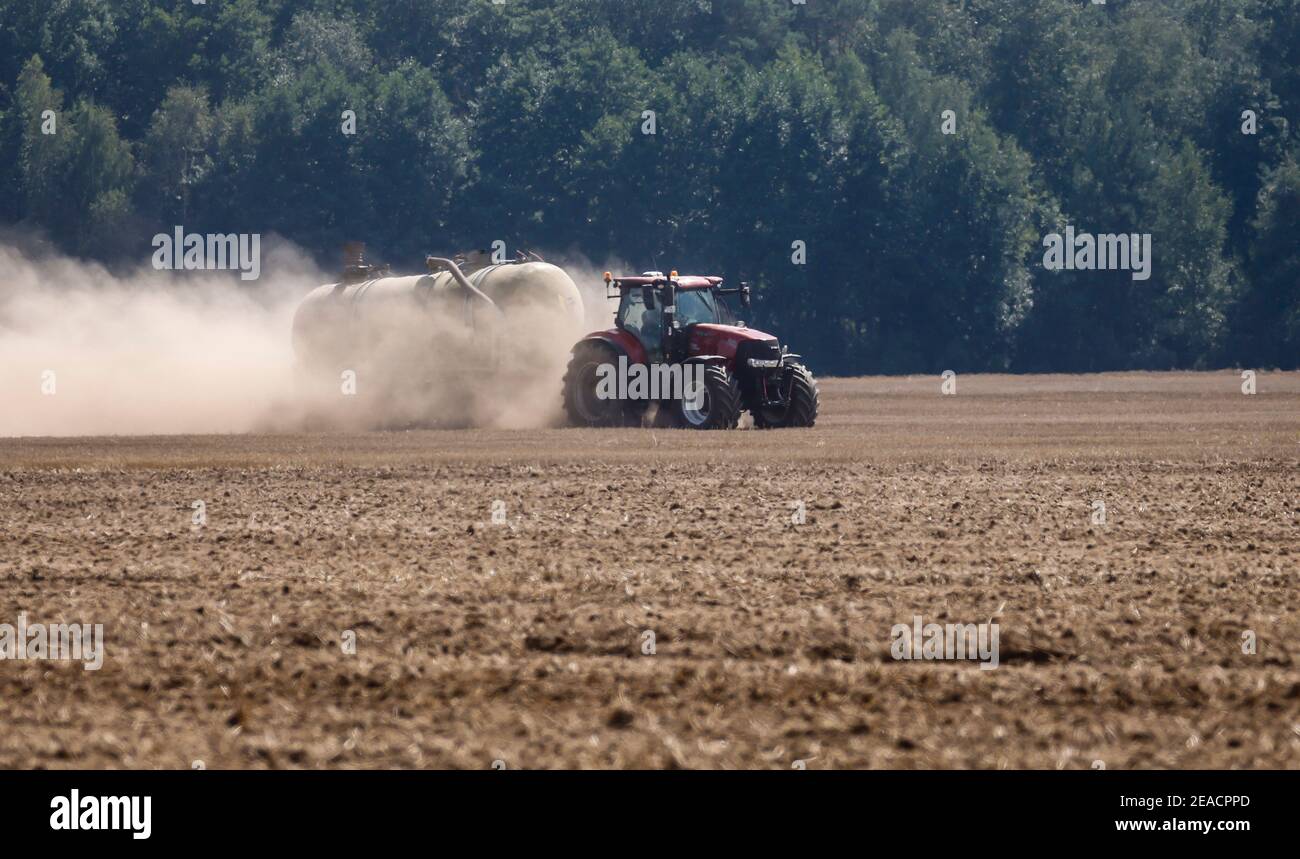 Oberlausitz, Sachsen, Deutschland - staubtrockene Felder im heißen Sommer arbeitet ein Traktor auf den Feldern, wenn er Dünger direkt in den Boden legt. Stockfoto