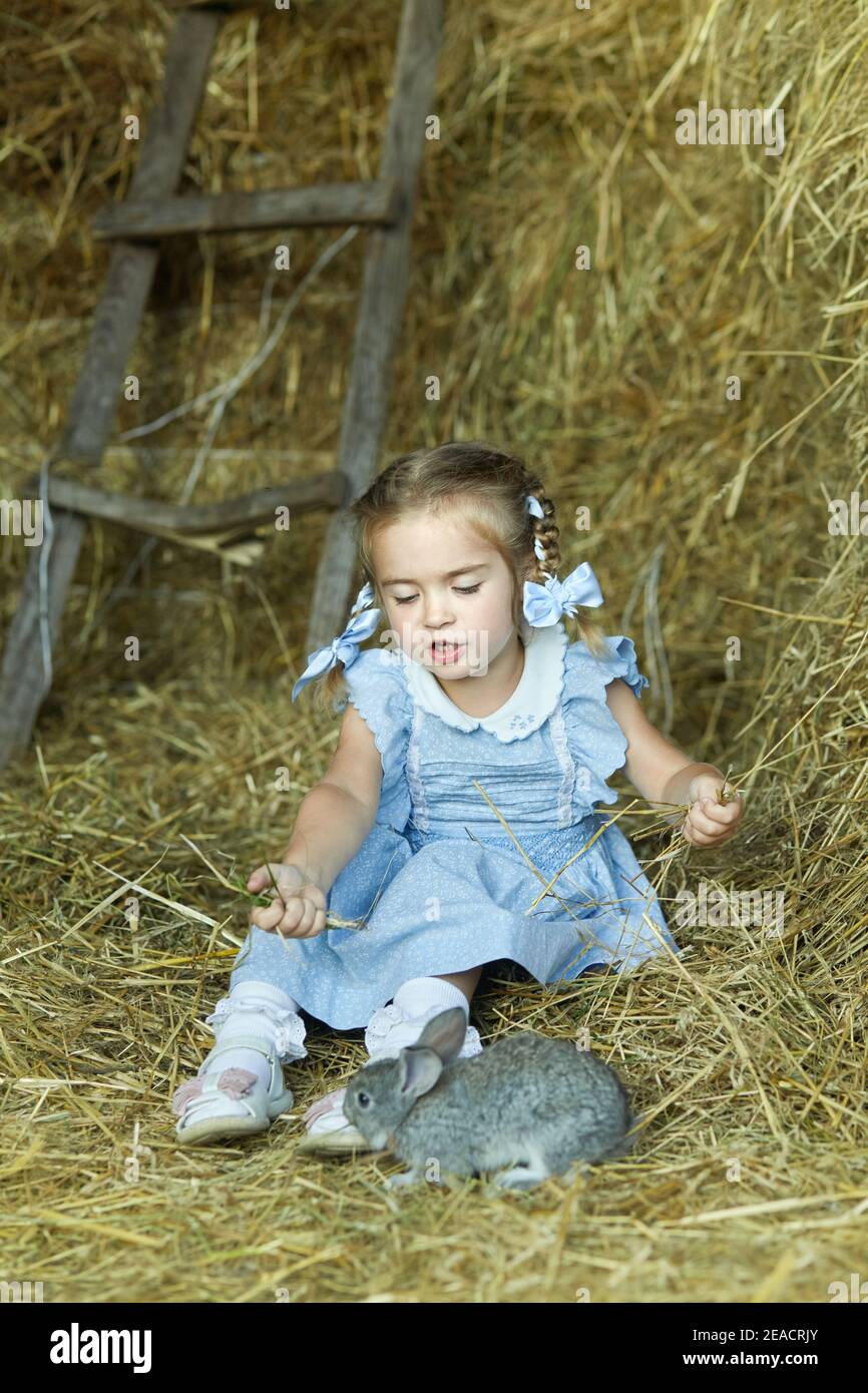 Kleines hübsches Mädchen sitzt im Heu mit einem kleinen Hasen. Mädchen füttert ihr Lieblingstier. Sommer in einem Dorf. Frohe Kindheit Stockfoto