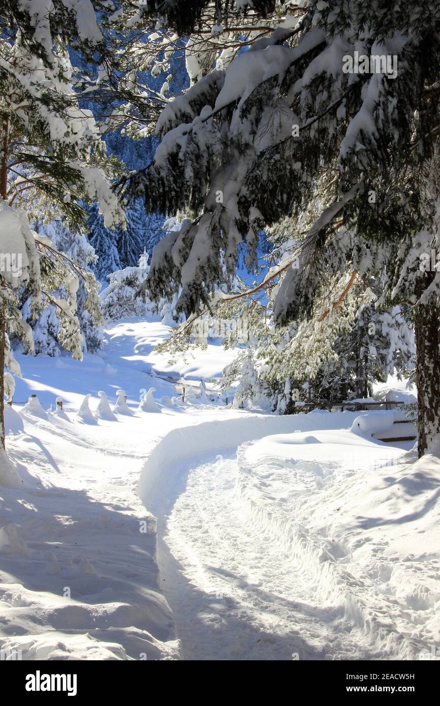 Winterlandschaft bei Mittenwald, Werdenfelser Land, Oberbayern, Bayern, Süddeutschland, Deutschland, Europa Stockfoto
